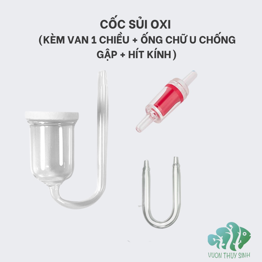 coc-sui-co2-thuy-tinh-ong-chu-u-chong-gap-van-mot-chieu