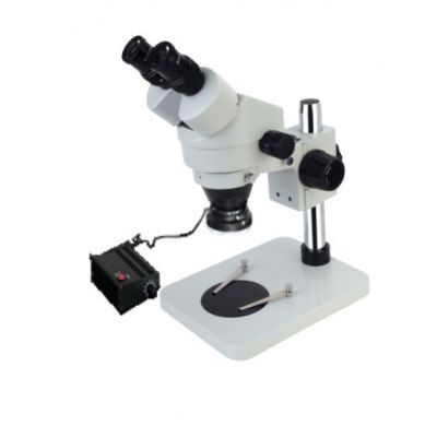 microscope