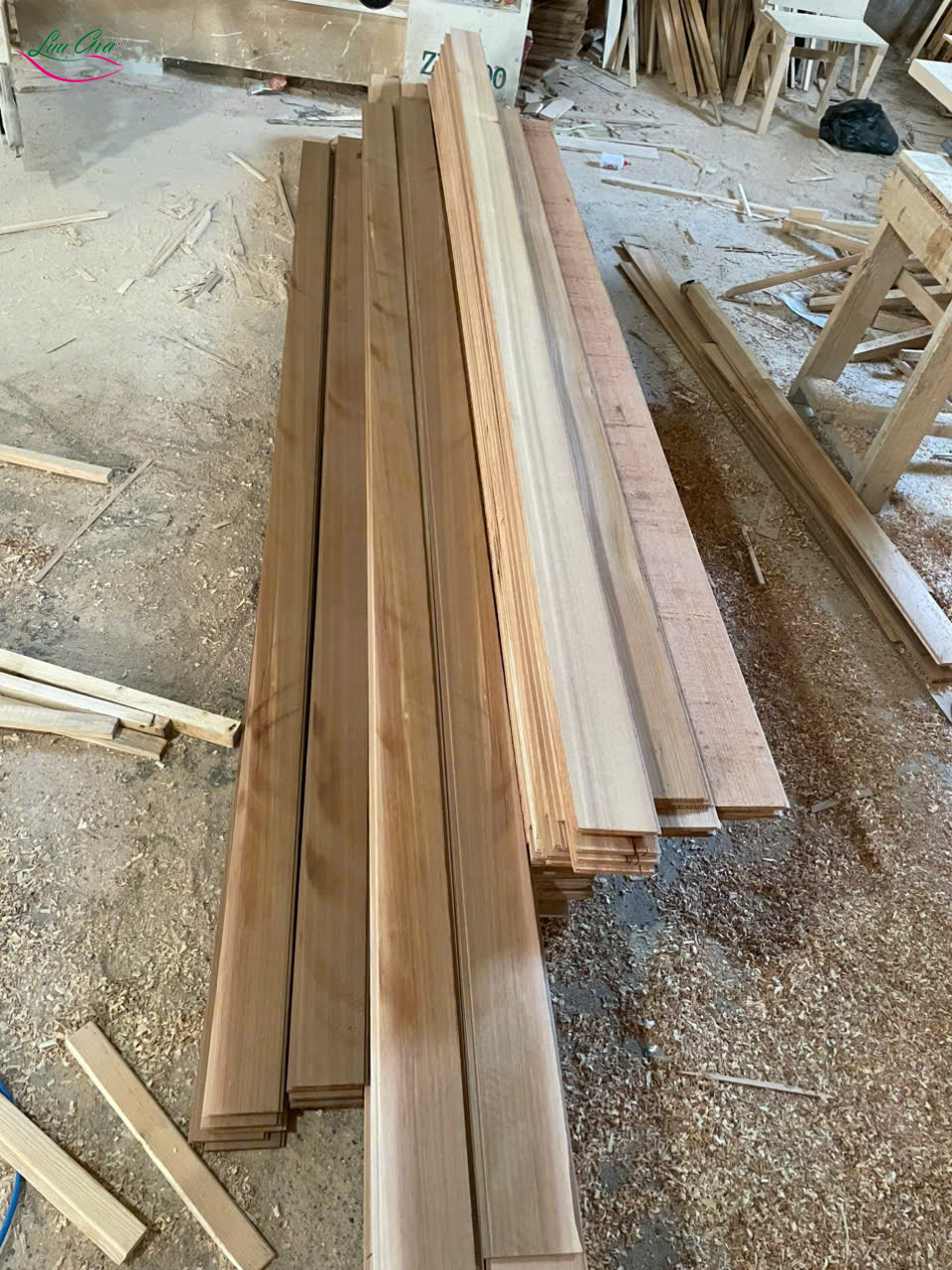 Nan Gỗ Tuyết Tùng Canada