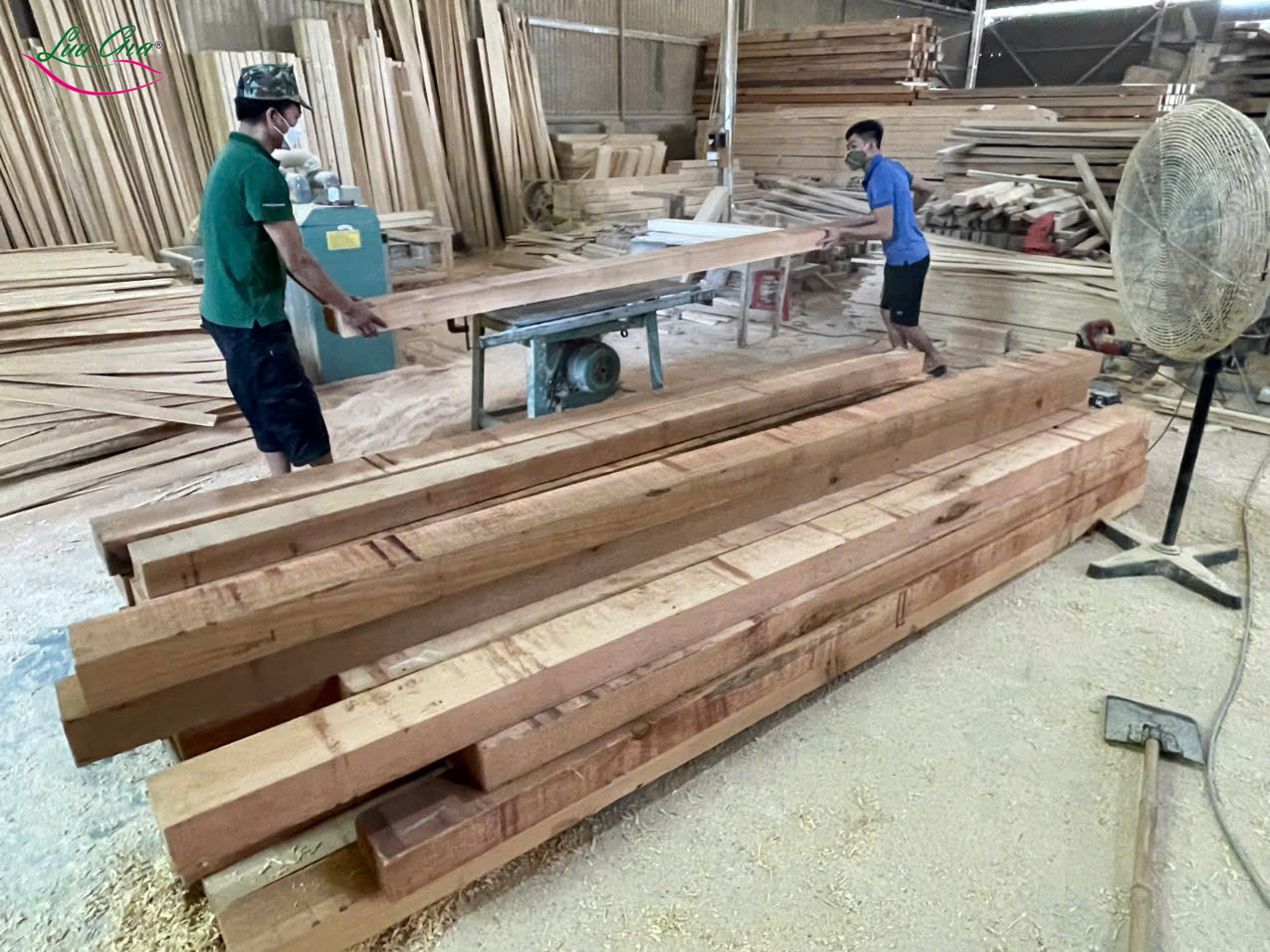 Nan Gỗ Hemlock Canada