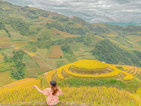 Bỏ Túi Kinh Nghiệm Đi Đồi Mâm Xôi La Pán Tẩn Yên Bái