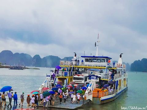 Phà Tuần Châu - Cát Bà Giá Vé, Lịch Chạy, Giờ Phà 2025