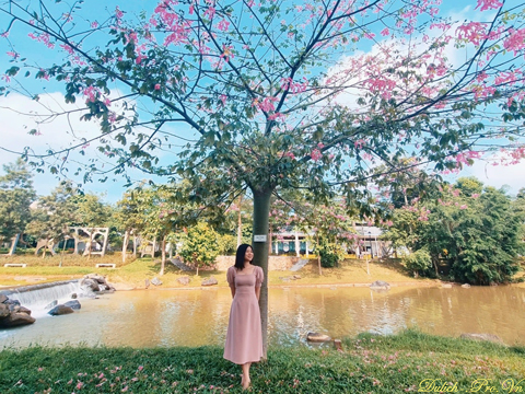 Kinh Nghiệm Đi Xanh Villas Resort Thạch Thất Mới 2025