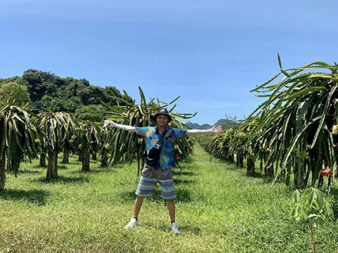 LÀNG SỎI Resort in Farm Hòa Bình Kinh Nghiệm Du Lịch 2024