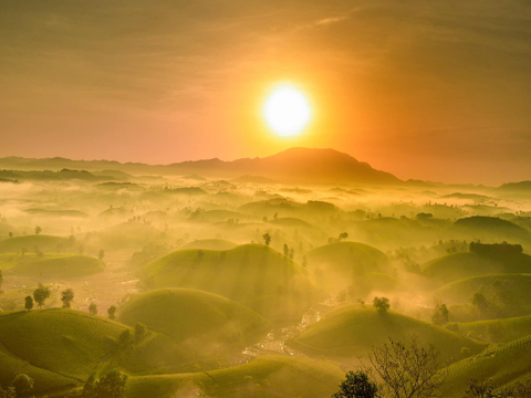 Review Kinh Nghiệm Đi Đồi Chè Thanh Sơn Phú Thọ 2025