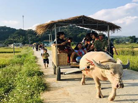 Review Kinh Nghiệm Đi Du Lịch Bản Che Căn 2025