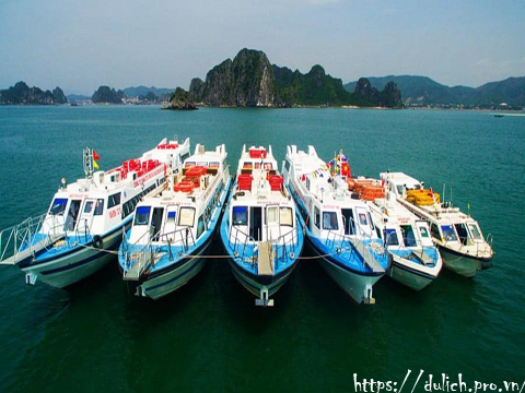Review Thông Tin, Giá Vé Tàu Đi Quan Lạn Cập Nhật 2025 Review Thông Tin, Giá Vé Tàu Đi Quan Lạn Cập Nhật 2025