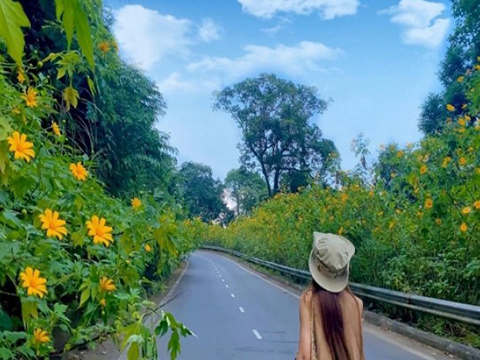 Review Kinh Nghiệm Du Lịch, Giá Vé Vườn Quốc Gia Ba Vì 2025 Review Kinh Nghiệm Du Lịch, Giá Vé Vườn Quốc Gia Ba Vì 2025