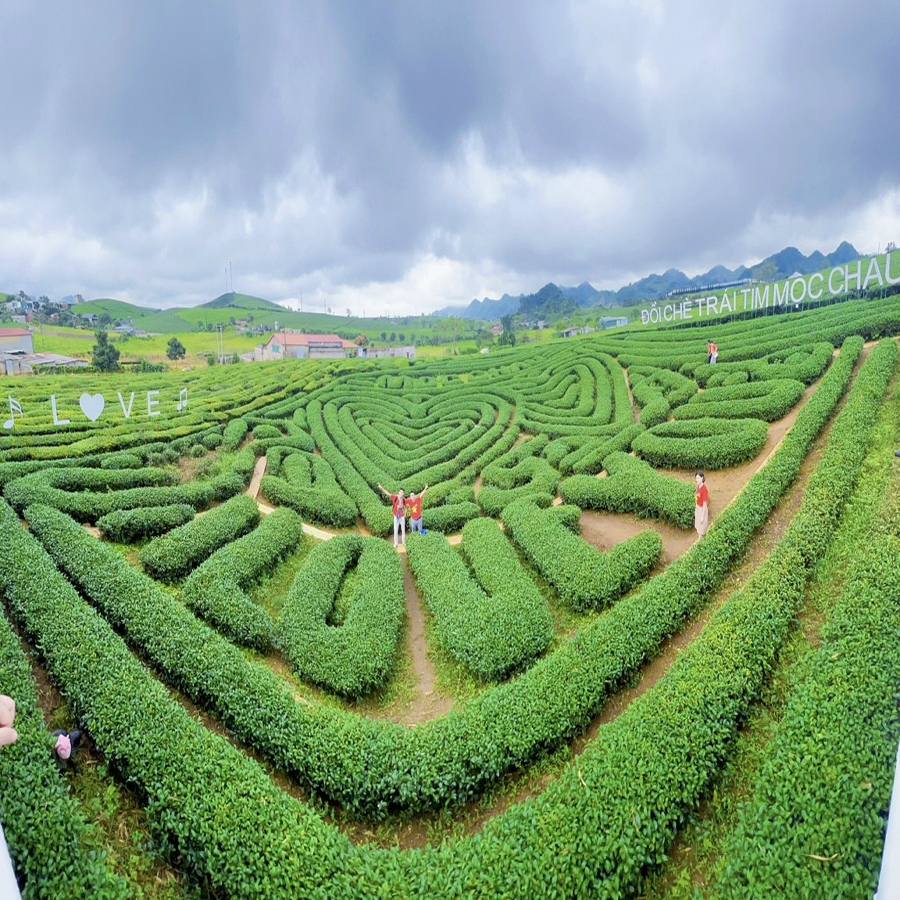 Đồi Chè Trái Tim Mộc Châu, Sơn La – Địa điểm chụp ảnh cưới không nên bỏ qua Review Kinh Nghiệm, Giá Vé ĐỒI CHÈ TRÁI TIM Mộc Châu 2022 - Dulich.Pro.Vn