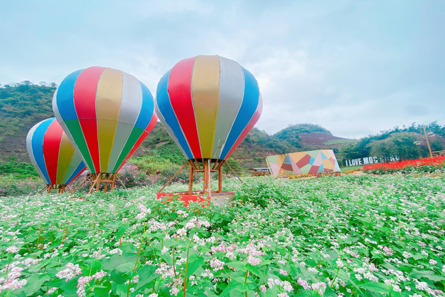 khuon vien hoa tam giac mach o happy land moc chau