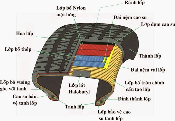 cau tao lop xe