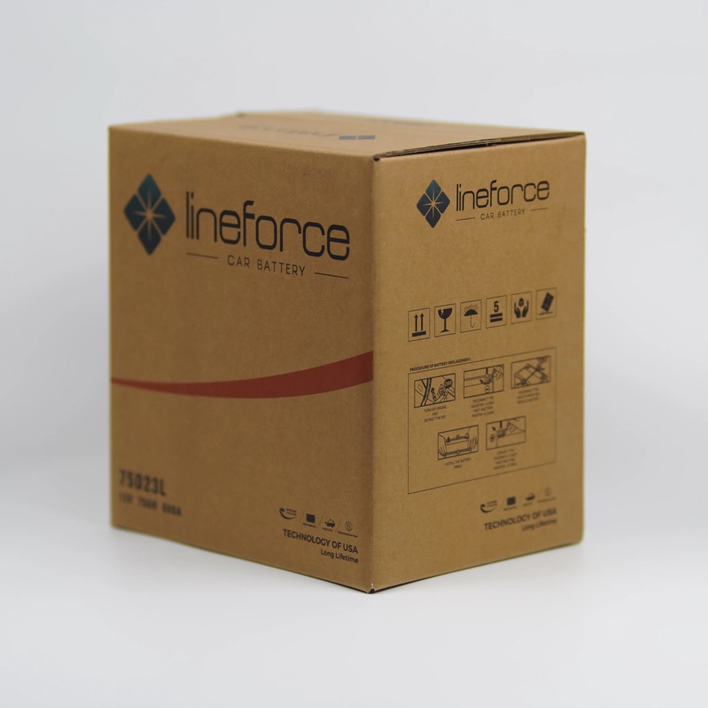 Ắc quy Lineforce 12V 45AH DIN45 MF 1 pict 20240620 210829 4a8fed84 b87f 431a b75e 2e77379a3fa4