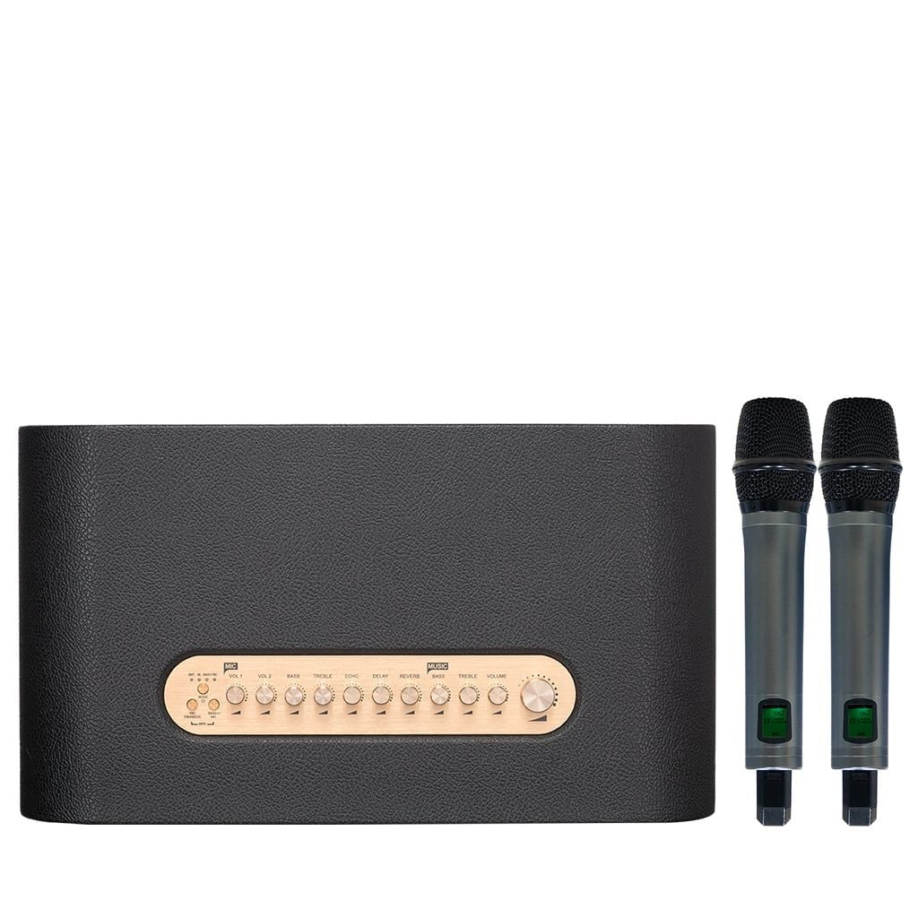 Loa Karaoke Acoustic 3 Compact