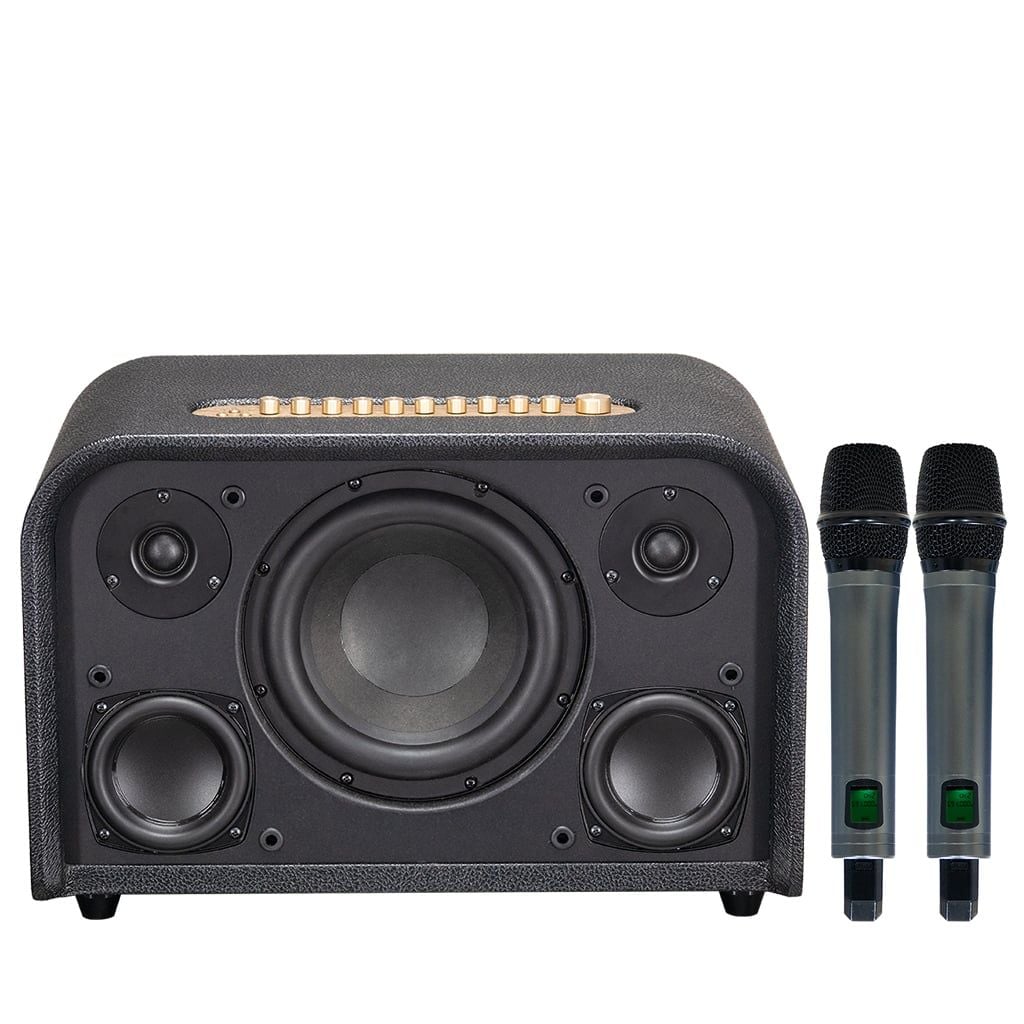 Loa Karaoke Acoustic 3 Compact