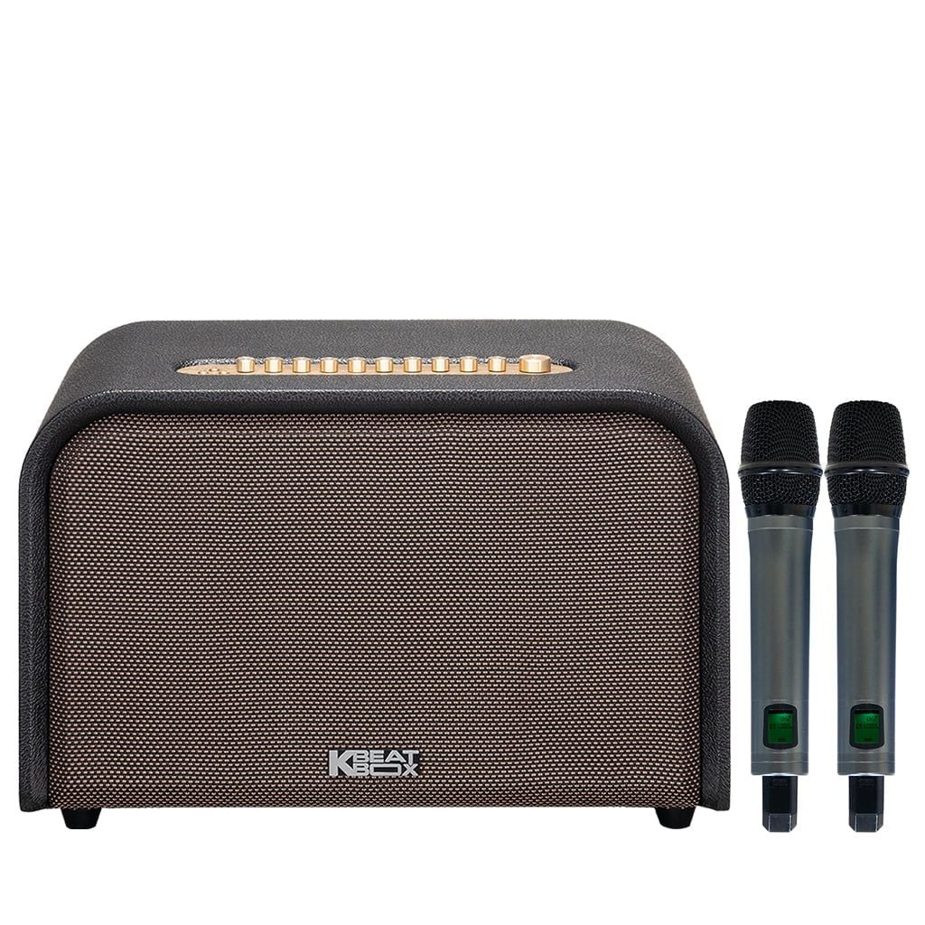 Loa Karaoke Acoustic 3 Compact
