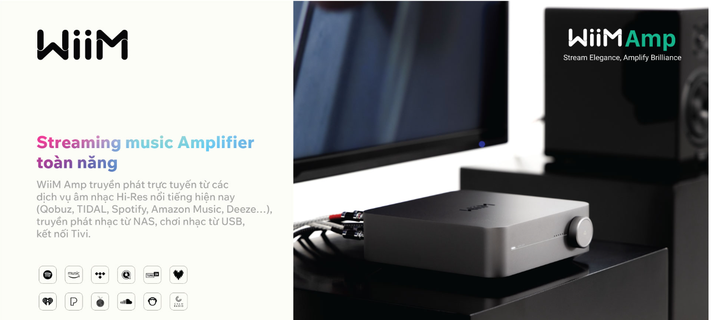 Music Streaming WiiM Amp