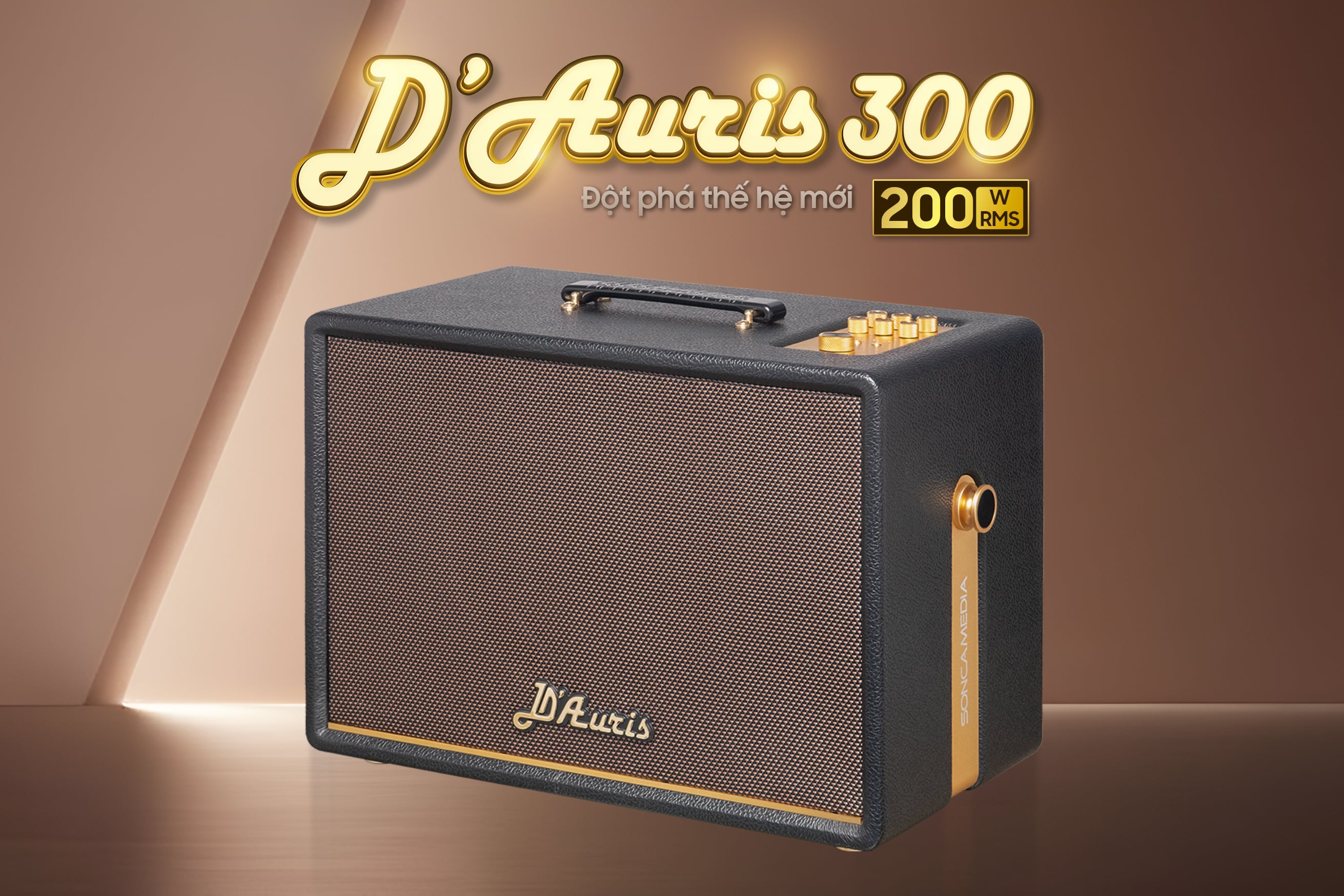 Soncamedia D'Auris 300