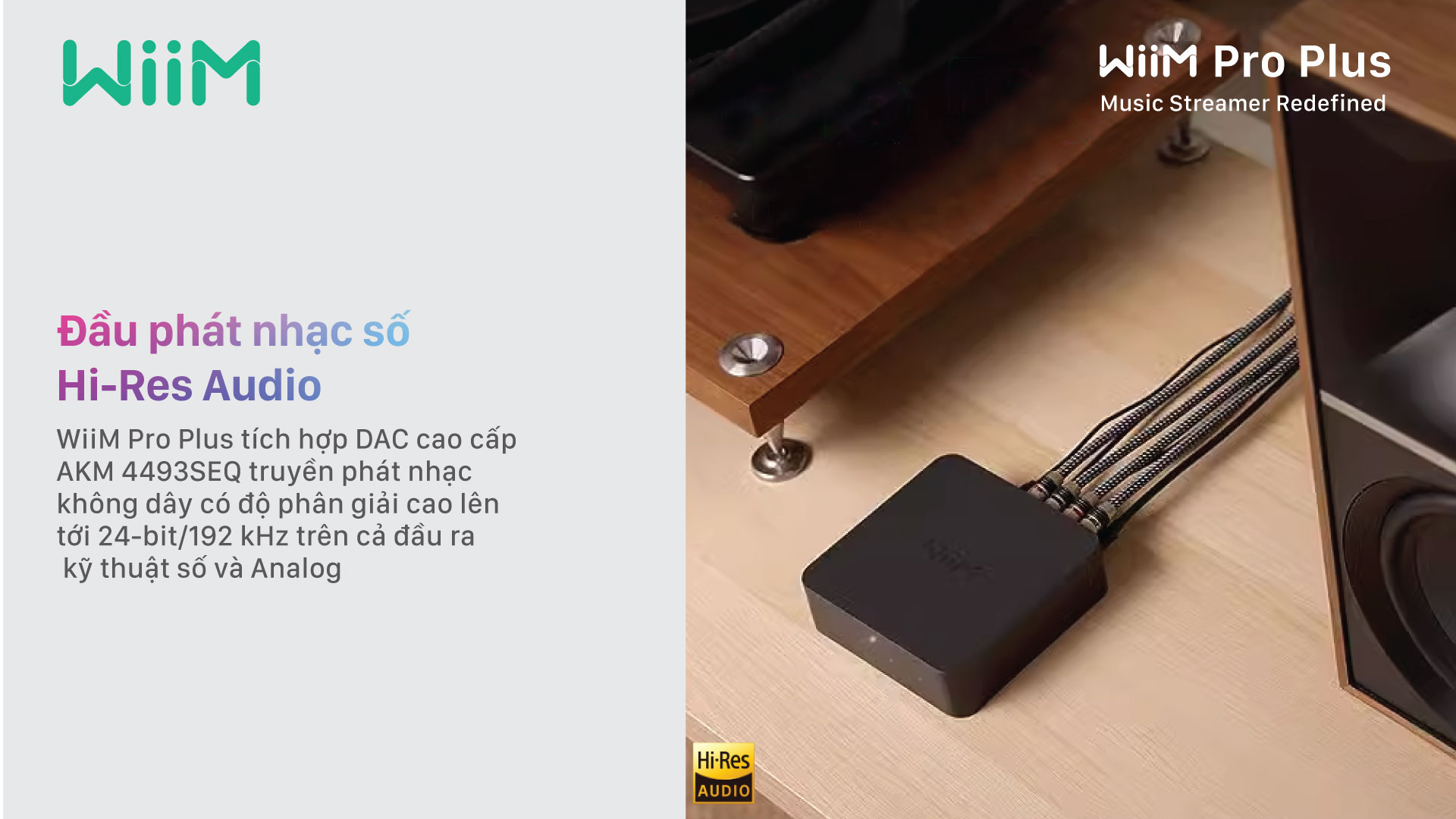 Music Streamer WiiM Pro Plus
