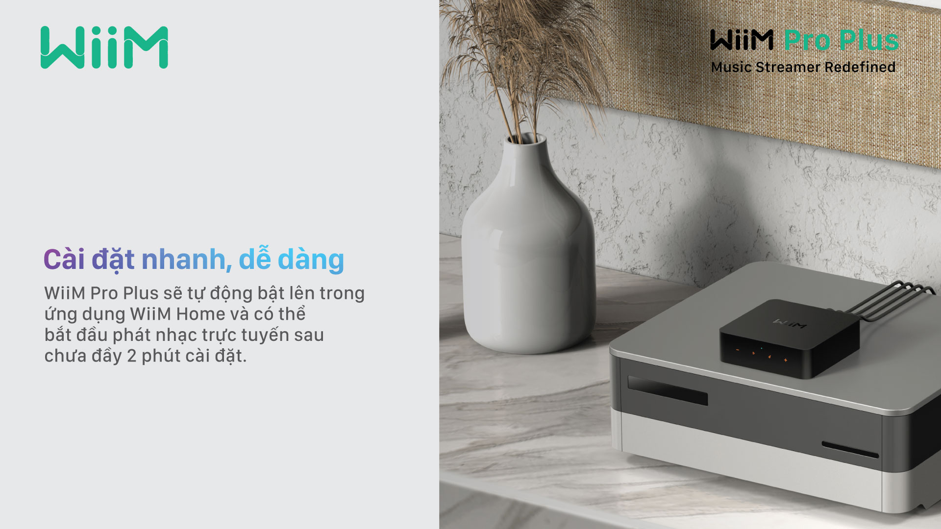 Music Streamer WiiM Pro Plus