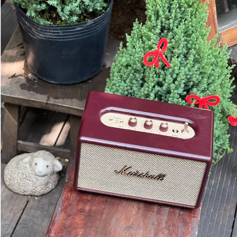 Marshall Acton III Burgundy đặt bên chậu cây xanh - màu đỏ Burgundy nổi bật trong không gian sống