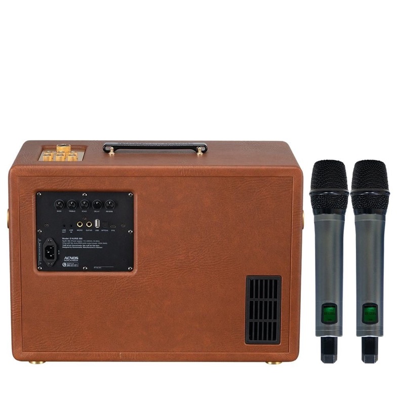 Loa karaoke D'Auris 300 màu nâu — mặt sau hiển thị panel điều khiển và kết nối đầy đủ tại Đại Nam Sky Music