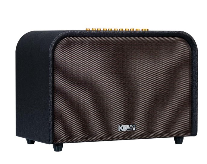 Mặt sau Loa Acnos Acoustic 3 với đầy đủ cổng kết nối Optical, USB, guitar 6.35mm tại Đại Nam Sky Music