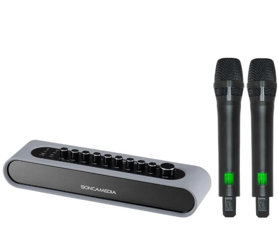 Vang số kèm micro Acnos Mi36 màu xám chính hãng tại Đại Nam Sky Music