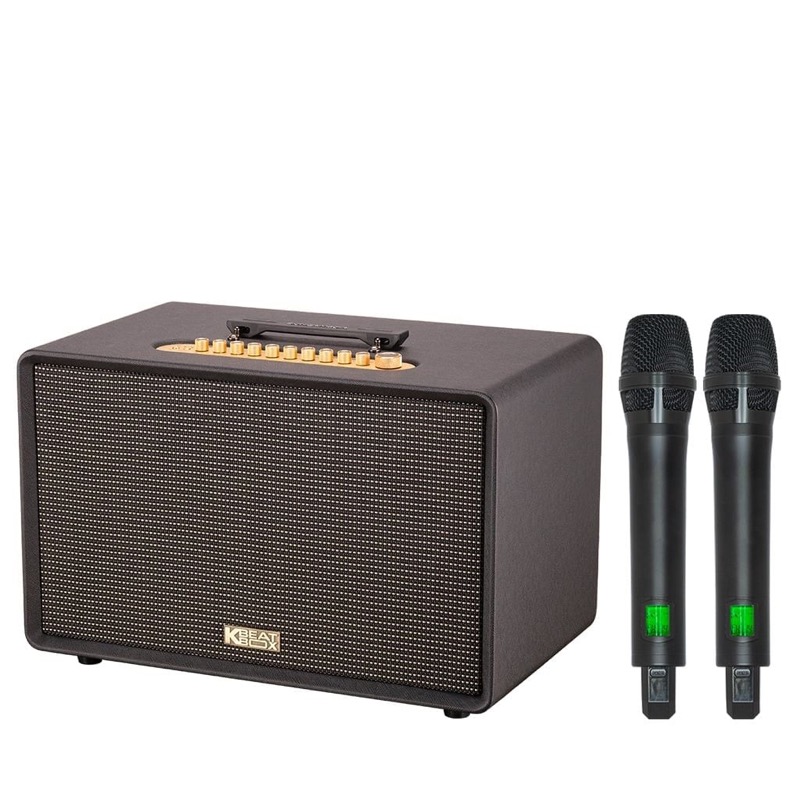 Loa Acnos Flac 39 màu đen 500W RMS 3 đường tiếng kèm 2 micro UHF tại Đại Nam Sky Music