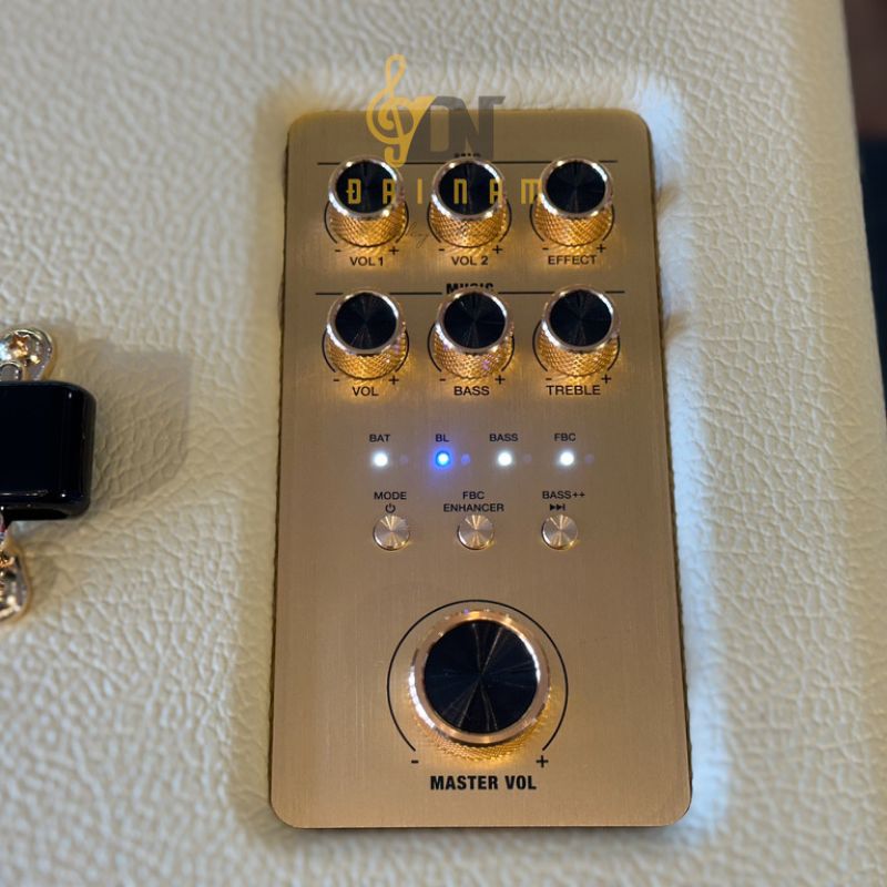 Bảng điều khiển mặt trên D'Auris 300 với 6 núm xoay Bass Treble Echo Delay Reverb và Master Vol