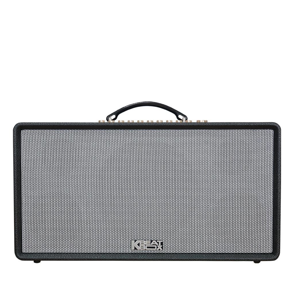 Loa Acnos Flac 36 thùng gỗ bọc da 200W RMS kèm 2 micro UHF tại Đại Nam Sky Music