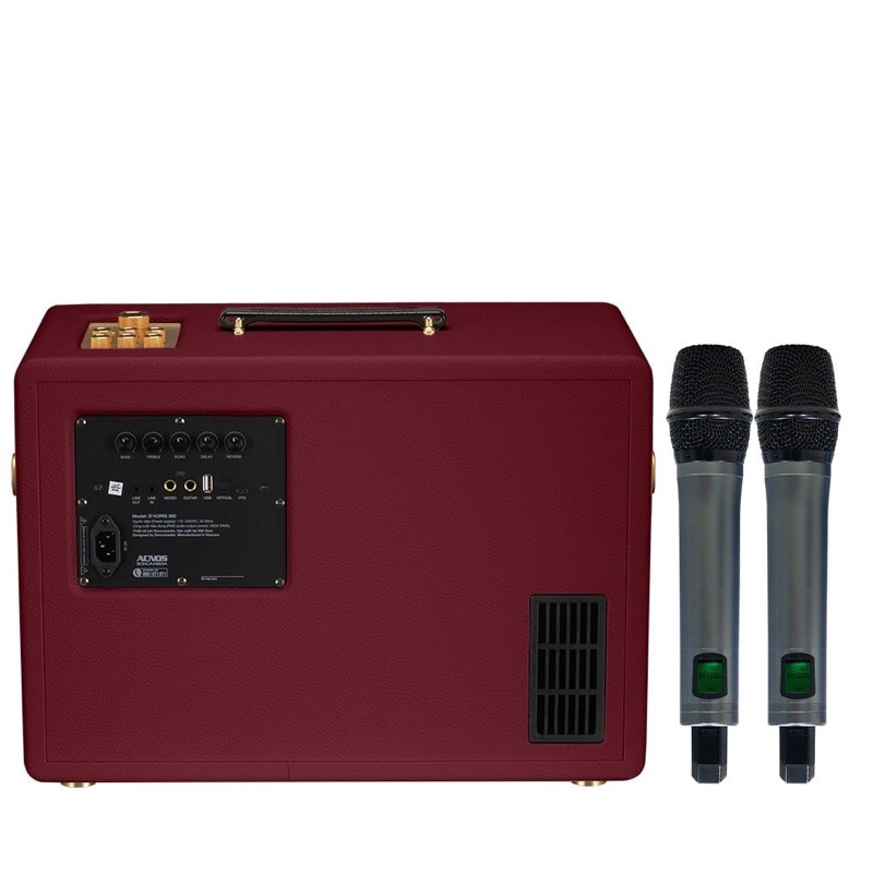 Loa karaoke D'Auris 300 màu đen kèm 2 micro không dây UHF tại Đại Nam Sky Music
