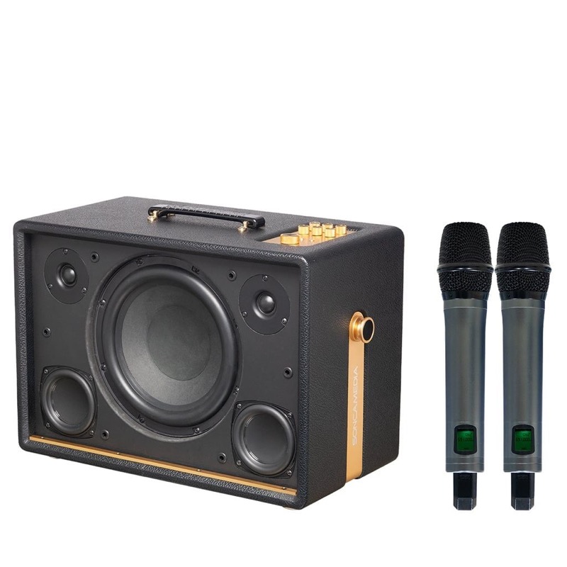 Loa ACNOS D'Auris 300 nhìn từ góc nghiêng — thiết kế retro vintage tại showroom Nhà Đại Nam