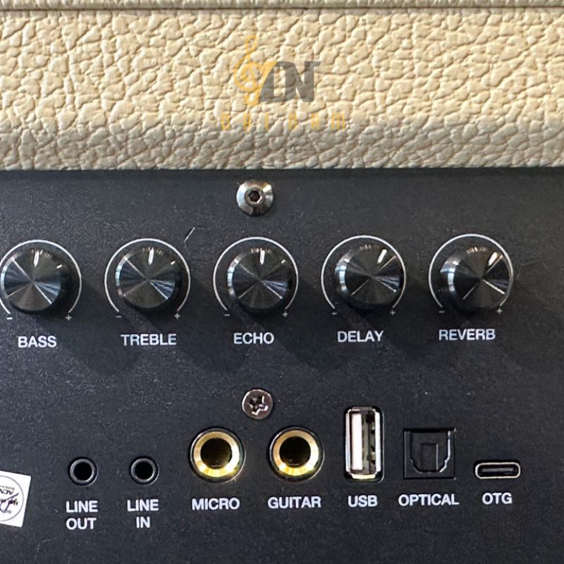 Cụm 5 núm chỉnh Bass Treble Echo Delay Reverb cổng kết nối D'Auris 300