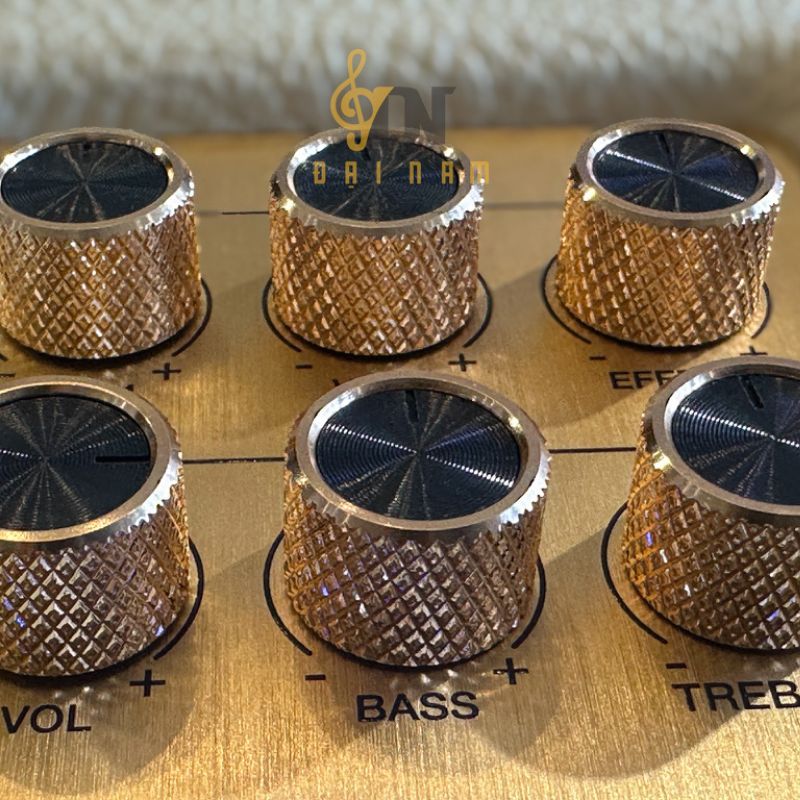 Cận cảnh 6 núm xoay mạ vàng Bass Treble Vol Music của D'Auris 300