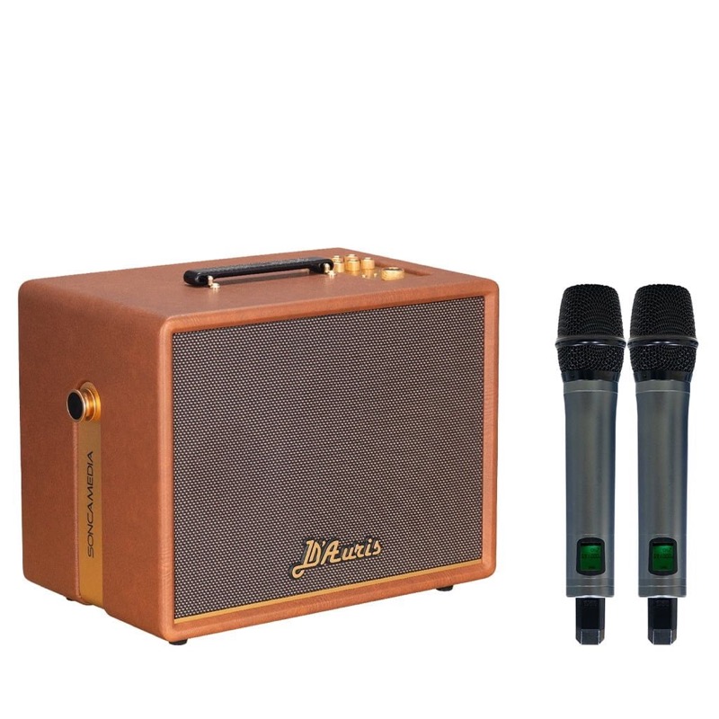 Loa karaoke D'Auris 200 màu nâu kèm 2 micro không dây UHF tại Đại Nam Sky Music