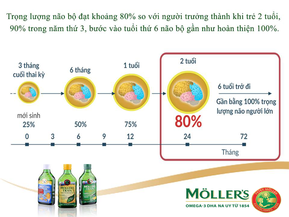 Omega-3 dinh dưỡng Vàng trong giai đoạn Vàng của trẻ