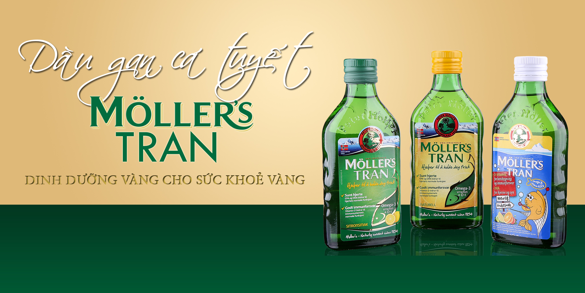 Vì sao thực phẩm bảo vệ sức khỏe dầu gan cá tuyết Moller’s Tran mang lợi ích tuyệt vời đến thế?