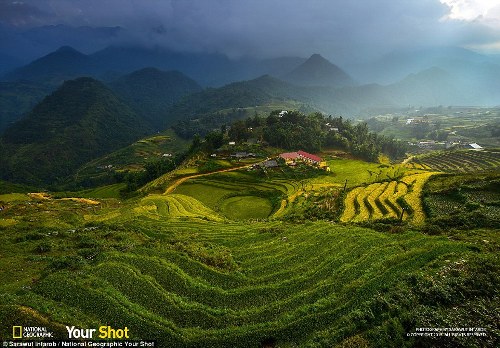 Ruộng bậc thang Việt Nam vào top ảnh du lịch đẹp