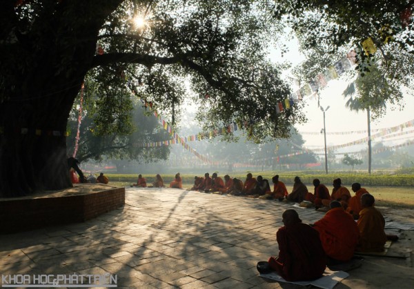 Ngôi chùa Việt ở đất phật Nepal