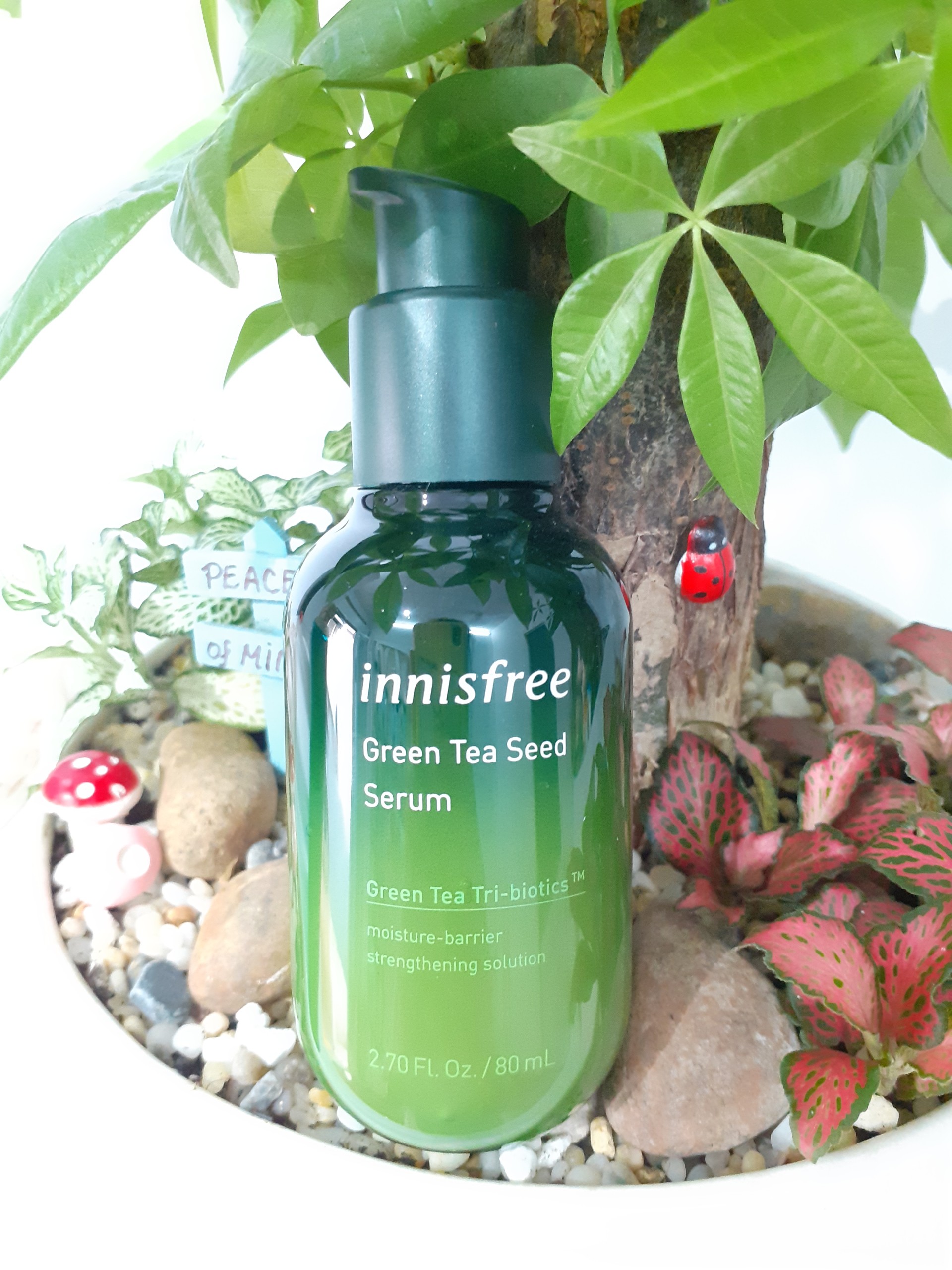 Tinh Chất Dưỡng Da Innisfree Green Tea Seed Serum