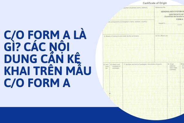 Hướng dẫn kê khai C/O Form A