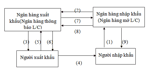 LETTER OF CREDIT (L/C) LÀ GÌ TRONG XUẤT NHẬP KHẨU? | SIMBA GROUP