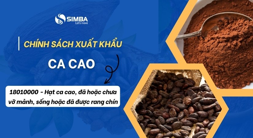 Thủ tục xuất khẩu ca cao chi tiết