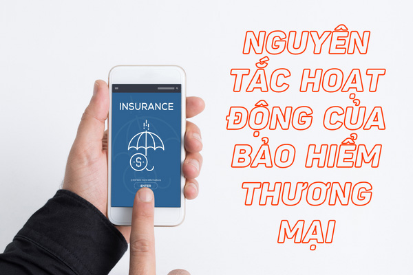 Một số nguyên tắc hoạt động của bảo hiểm thương mại