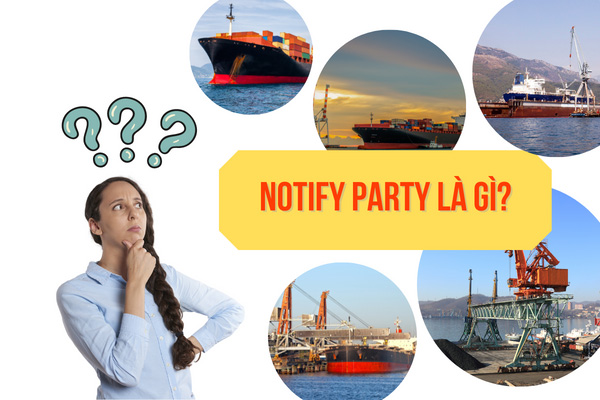 Notify party là gì? Bật mí mối quan hệ giữa Notify party và Consignee | SIMBA GROUP