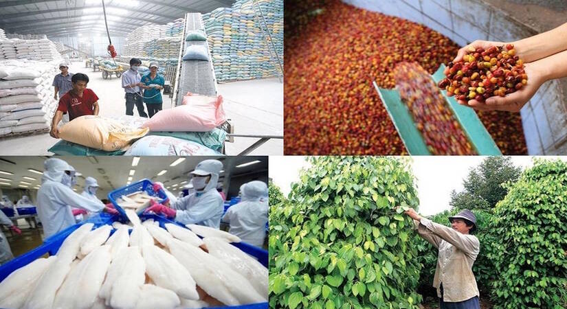 Quy trình và thủ tục xuất khẩu nông sản tại Việt Nam | SIMBA GROUP