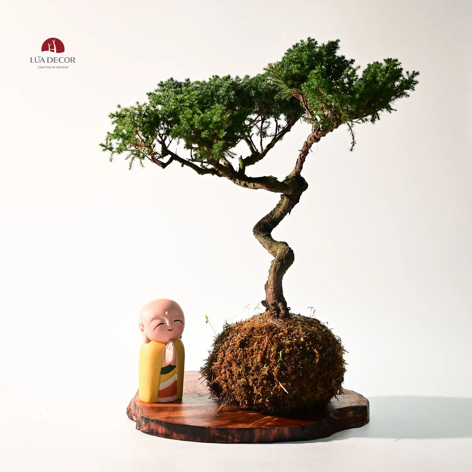 NGHỆ THUẬT TRỒNG CÂY THEO PHONG CÁCH KOKEDAMA