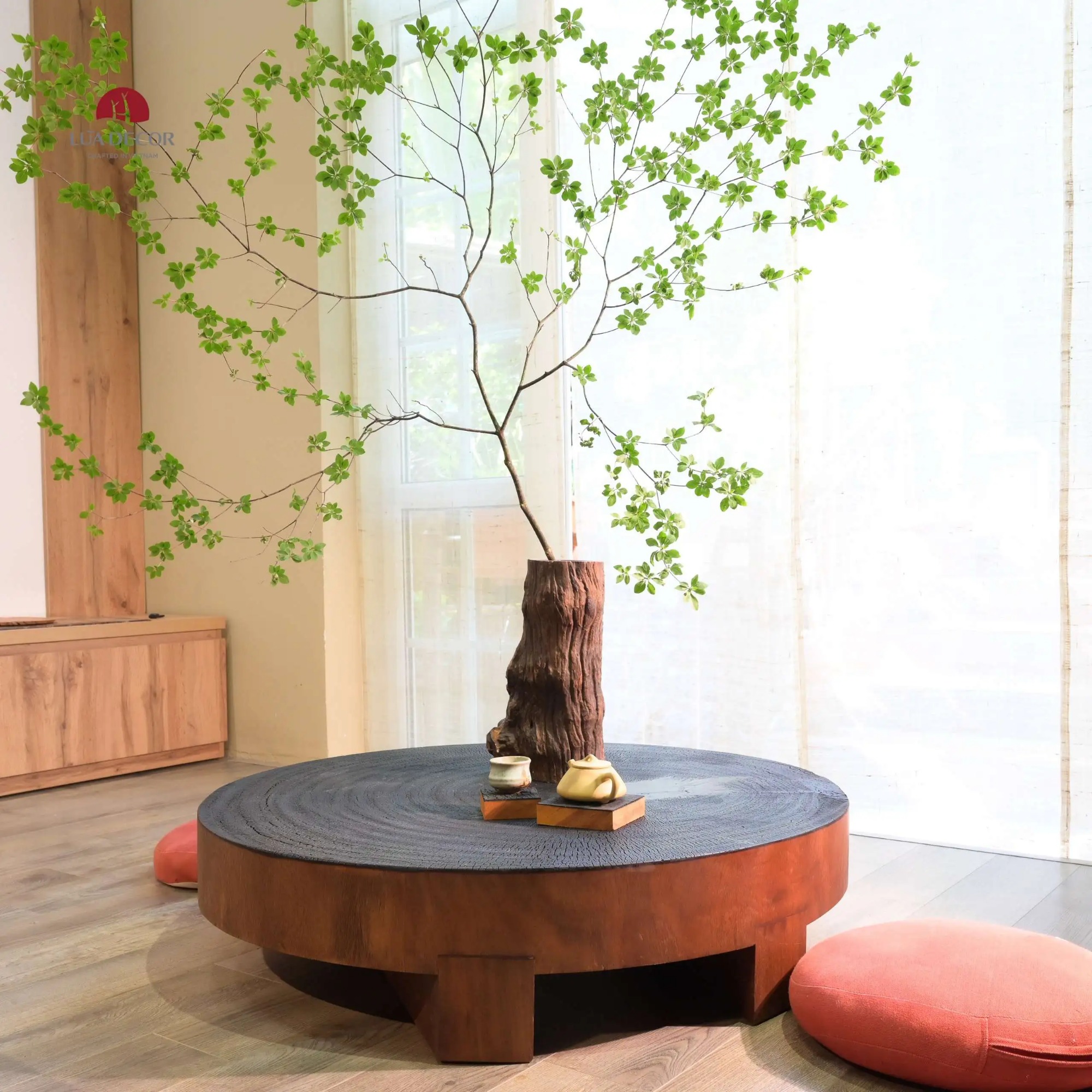 Bàn trà Lũa Decor