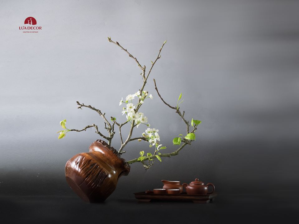 Today’s flower @LŨA DECOR - Tea Time