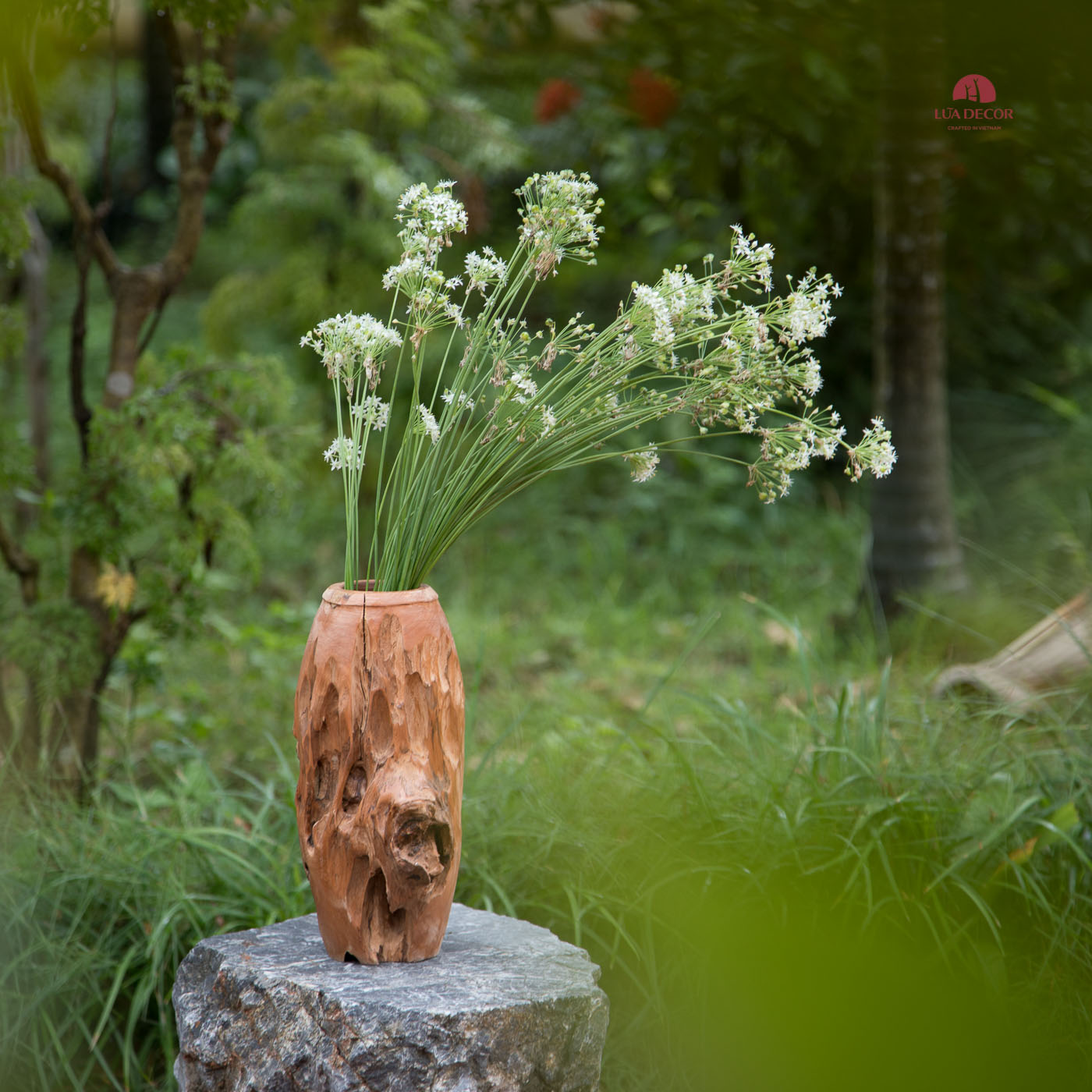 Bình lũa - câu chuyện duyên lành